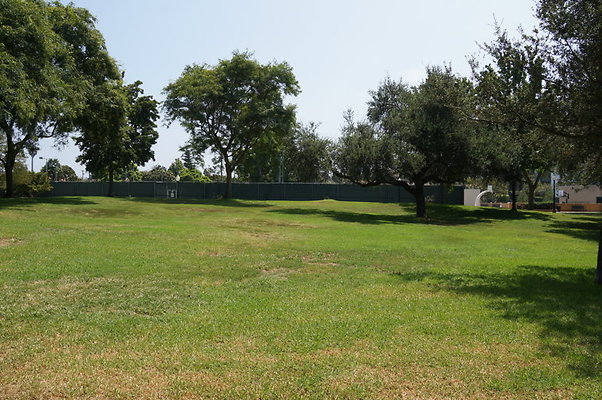 DSC08832