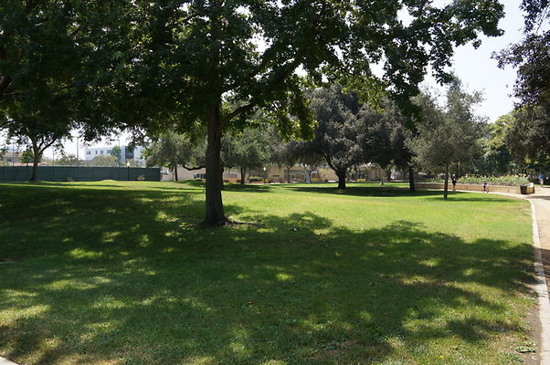 DSC08841
