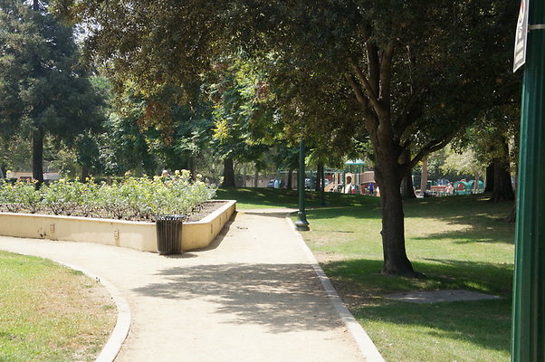 DSC08835