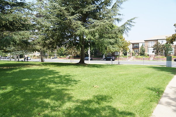 DSC08705