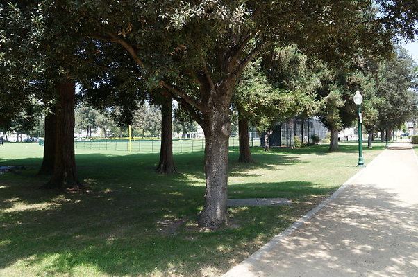 DSC08821