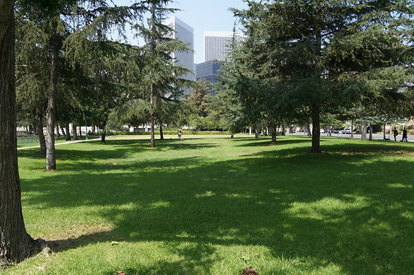 DSC08704