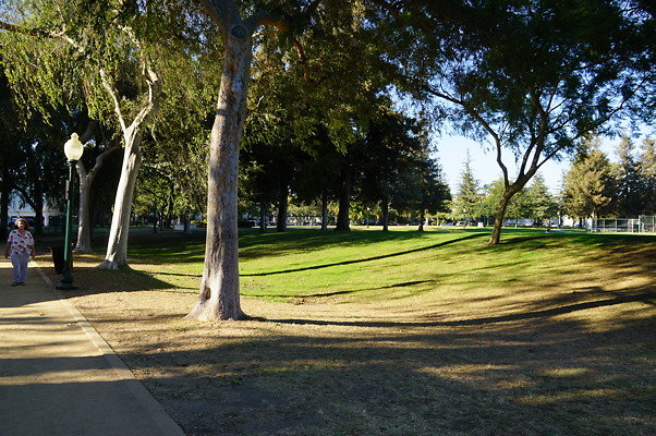 DSC09729