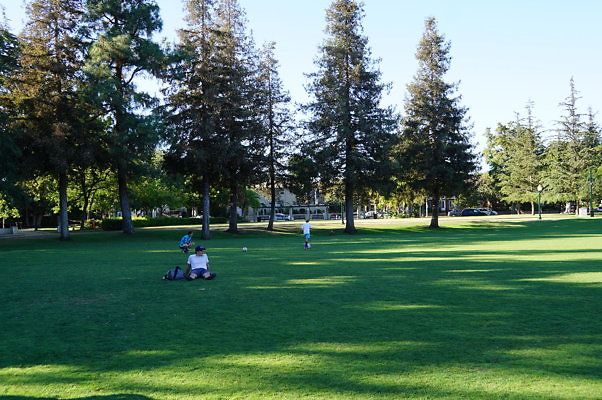 DSC09706