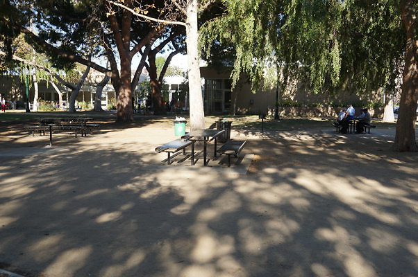 DSC09614