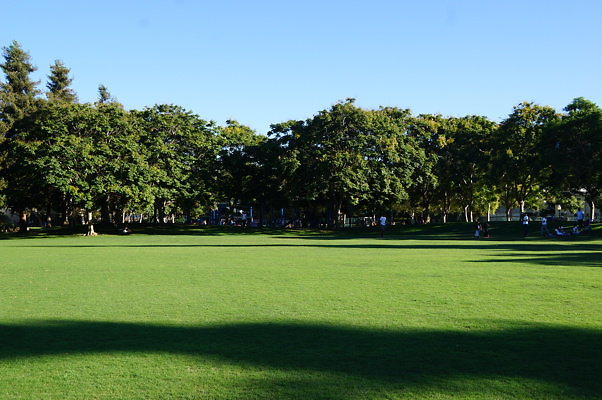 DSC09704