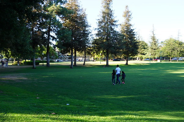 DSC09712
