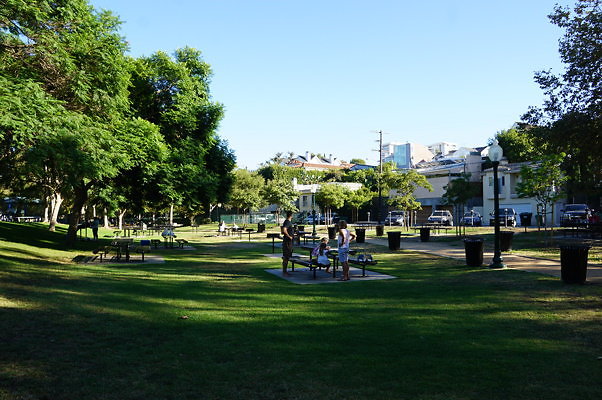 DSC09719