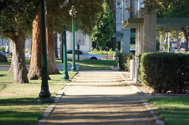 DSC09650