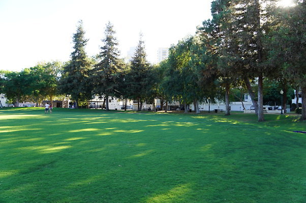 DSC09693
