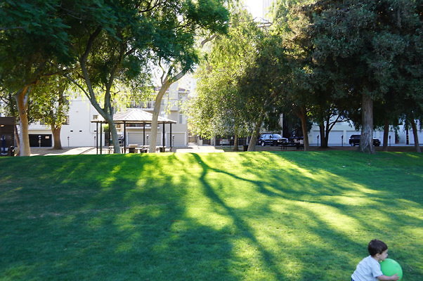 DSC09711