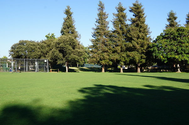 DSC09708