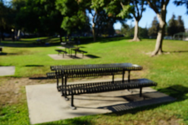 DSC09740