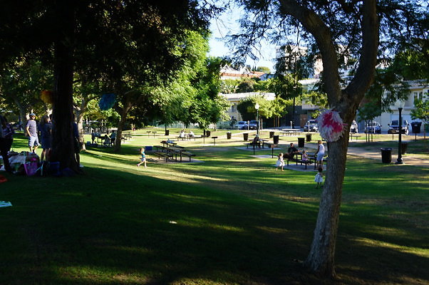 DSC09716