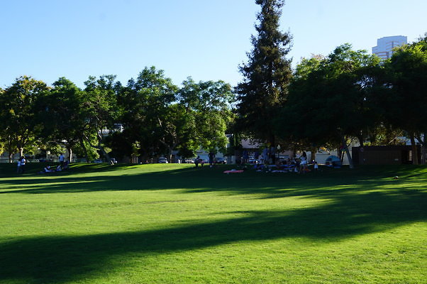 DSC09705