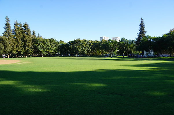 DSC09692