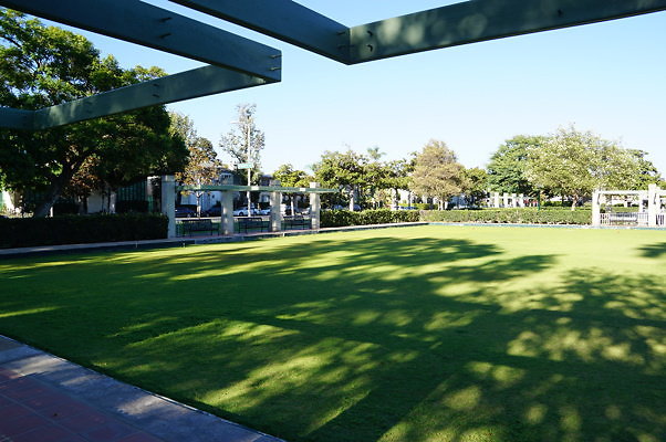 DSC09684