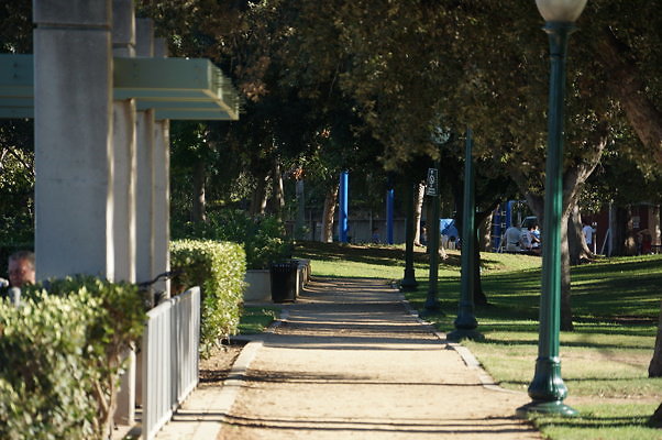 DSC09689