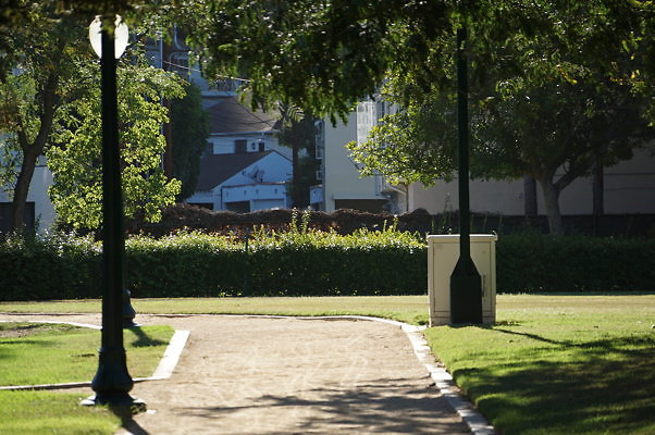 DSC09683