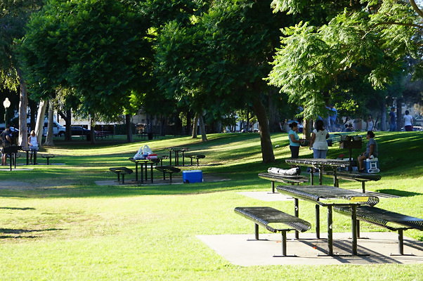 DSC09739