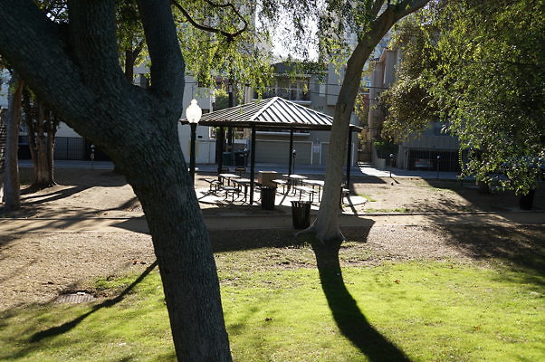 DSC09717