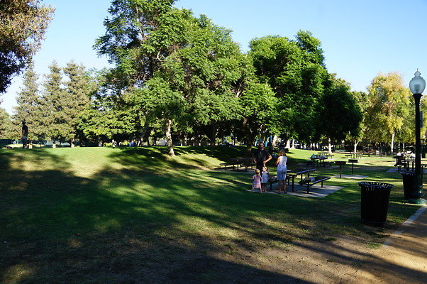 DSC09731