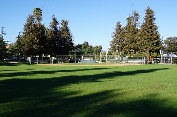 DSC09707