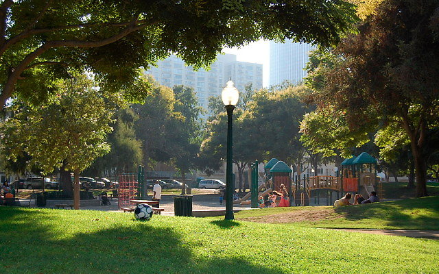 DSC 0429
