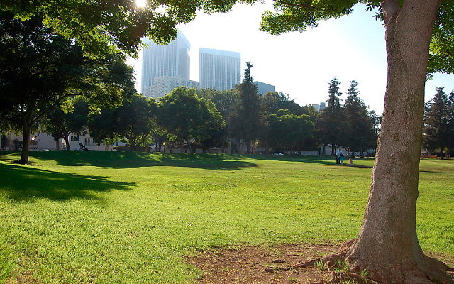 DSC 0424