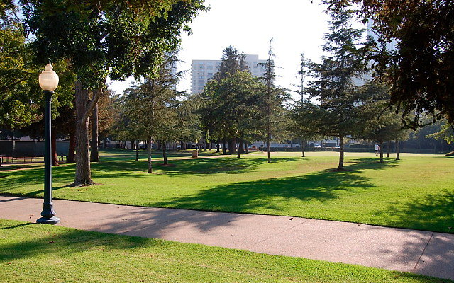 DSC 0395
