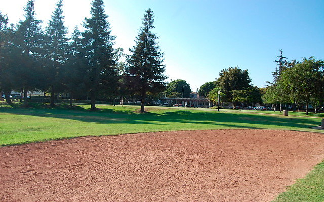 DSC 0413