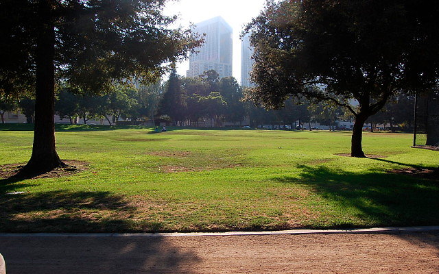 DSC 0415