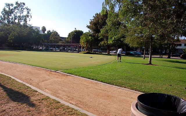 DSC 0409