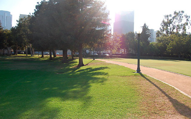 DSC 0408