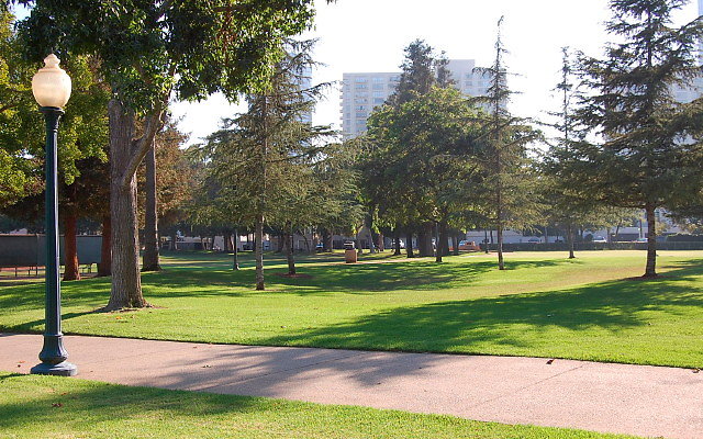 DSC 0396