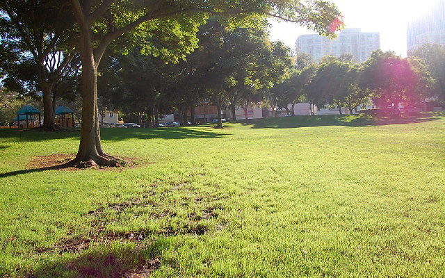 DSC 0420