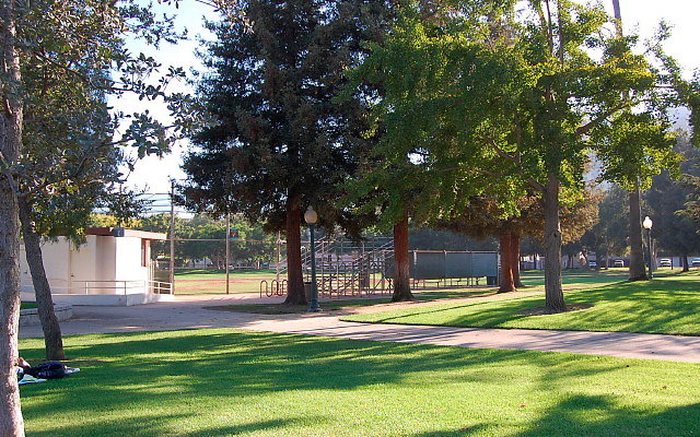 DSC 0390