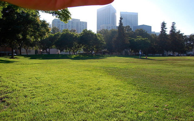 DSC 0421