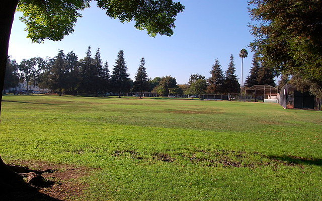 DSC 0427