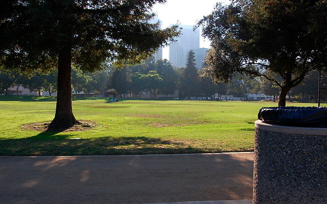 DSC 0418