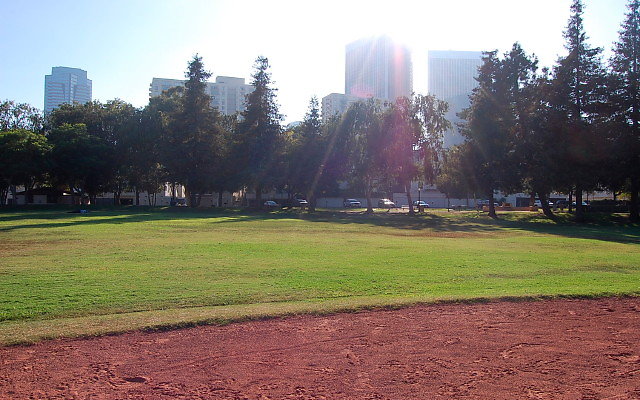 DSC 0412