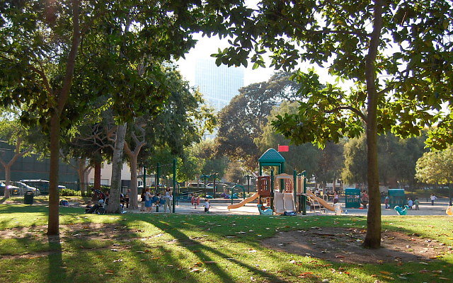 DSC 0433
