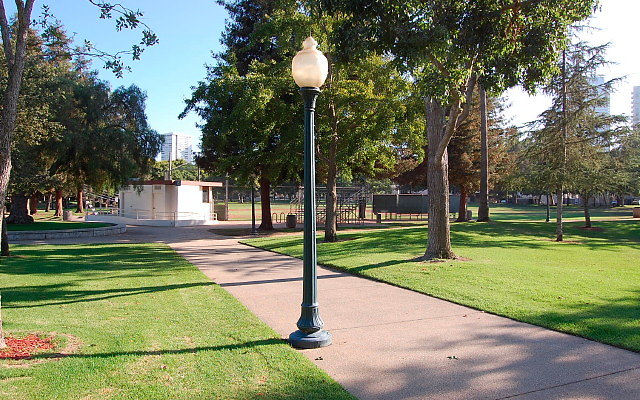 DSC 0397