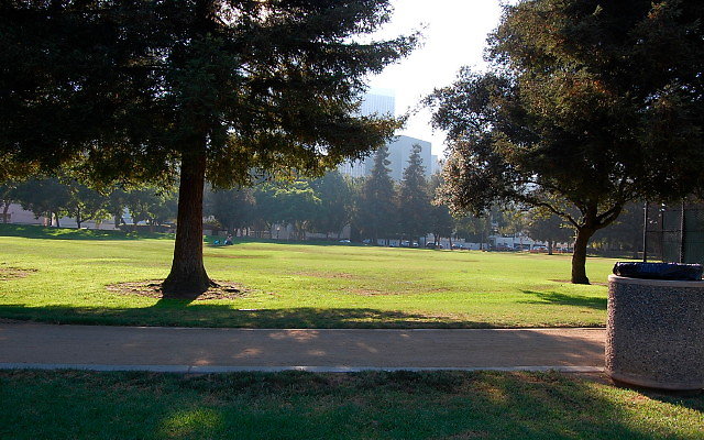 DSC 0417