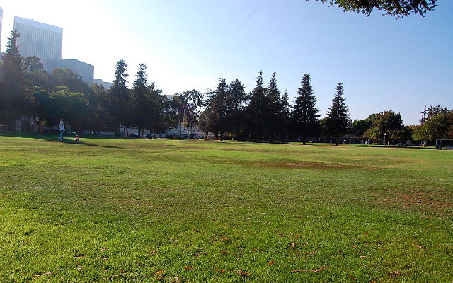 DSC 0422