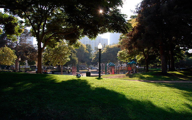 DSC 0428