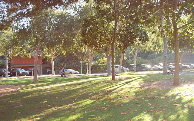 DSC 0430