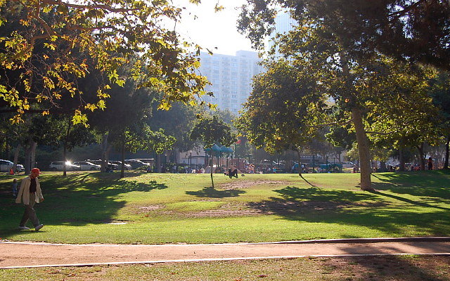 DSC 0441