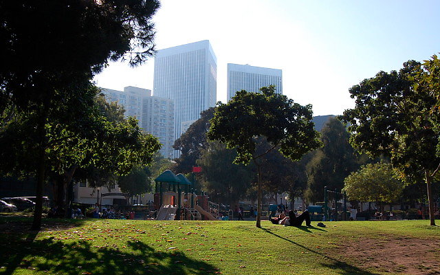 DSC 0439