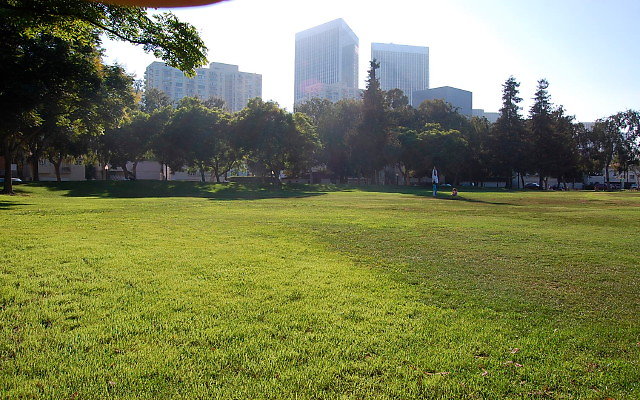 DSC 0419